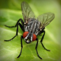 /album/national-yogi-jp/photolia-a01-jpg/