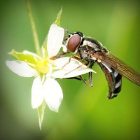 /album/national-yogi-jp/photolia-a02-jpg/