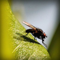 /album/national-yogi-jp/photolia-a04-jpg/