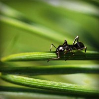 /album/national-yogi-jp/photolia-a05-jpg/