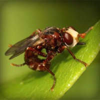 /album/national-yogi-jp/photolia-a06-jpg/