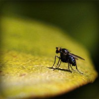 /album/national-yogi-jp/photolia-a07-jpg/