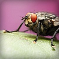 /album/national-yogi-jp/photolia-a08-jpg/